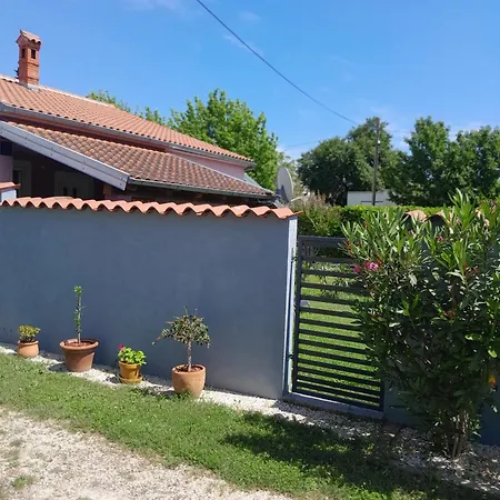 Apartament D&n